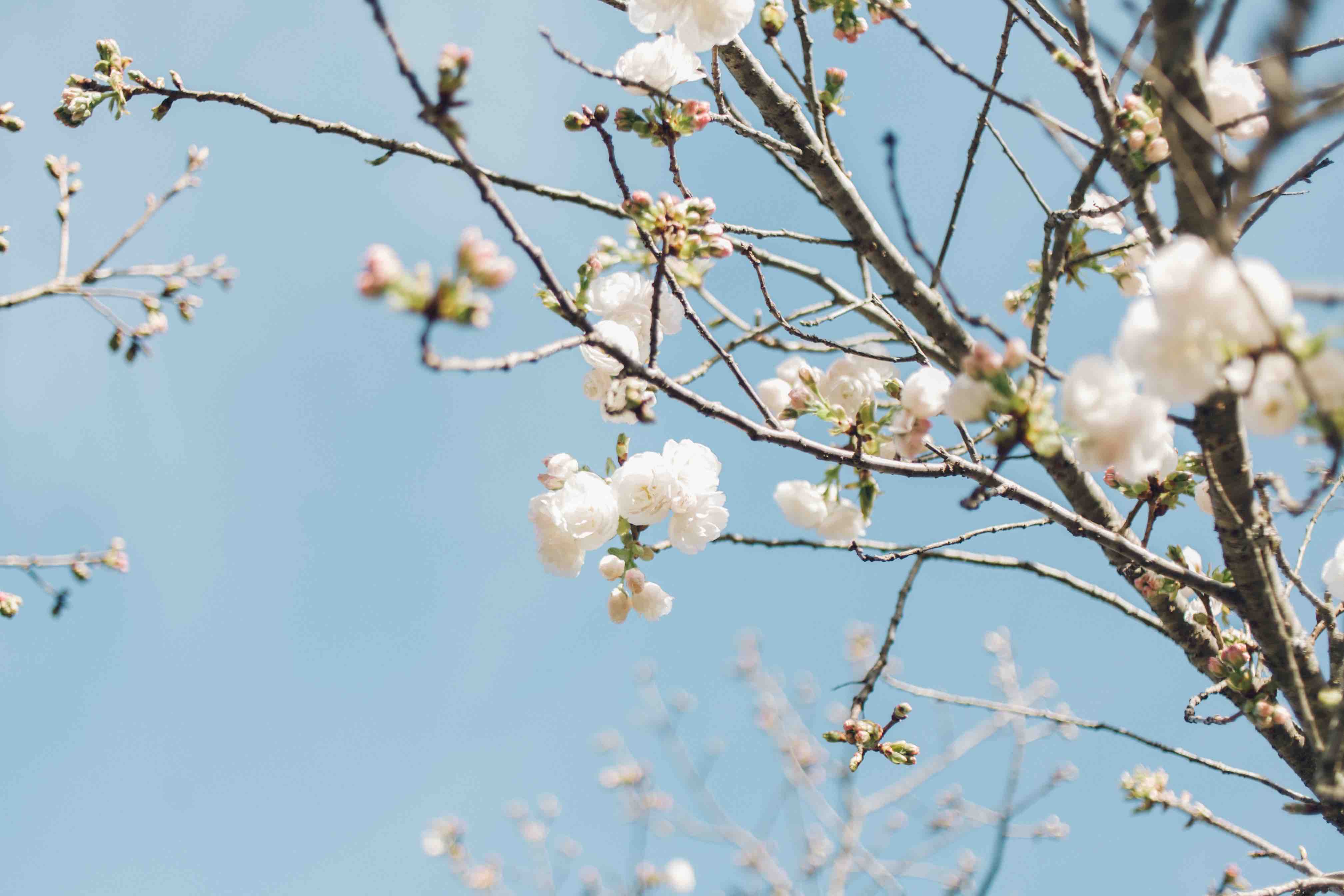 Über Transformation, Geduld, Vertrauen_MINDFULMIND